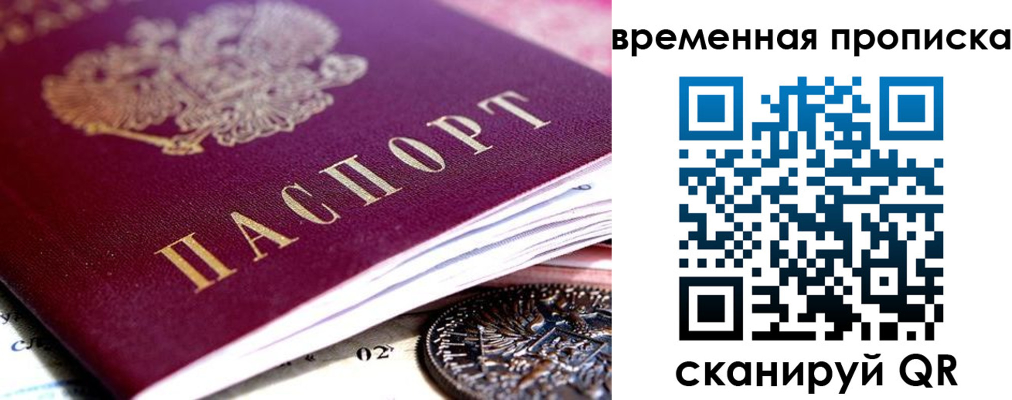 временная прописка в Полярных Зорях